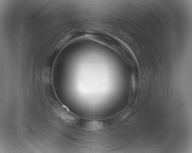 X0000080790421200612151500