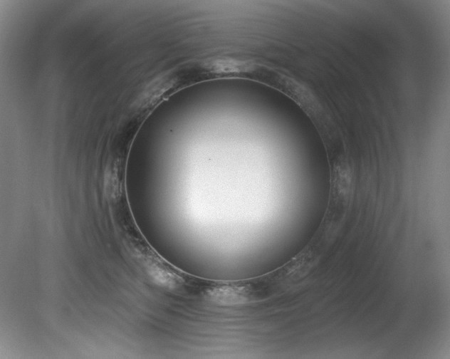 X0000080790422200612151500