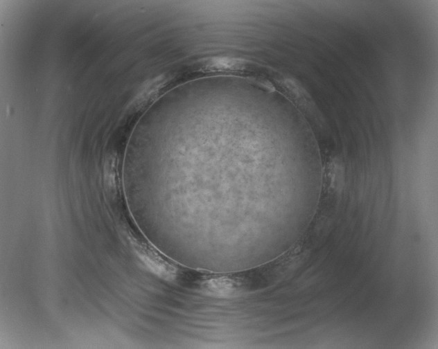 X0000080790423200612151500