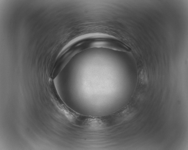 X0000080790424200612151500