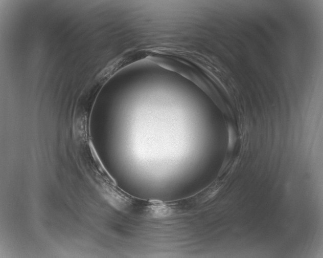 X0000080790425200612151500