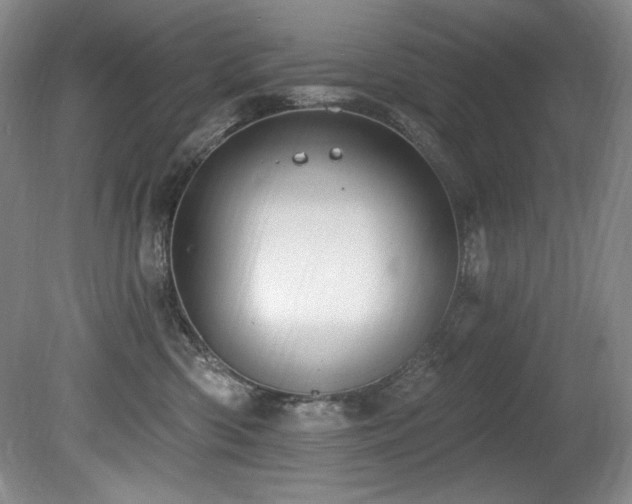 X0000080790426200612151500