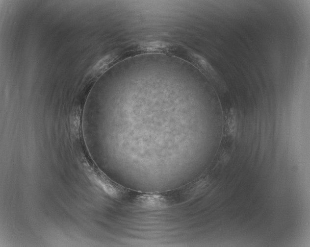 X0000080790427200612151500