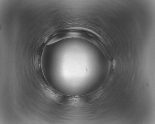 X0000080790428200612151500