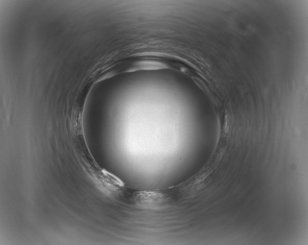 X0000080790429200612151459