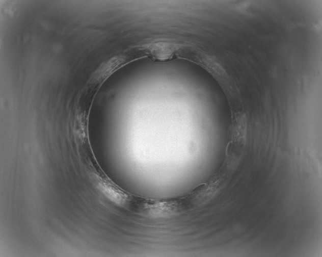 X0000080790430200612151459