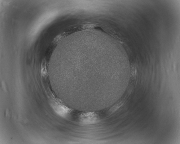 X0000080790431200612151459
