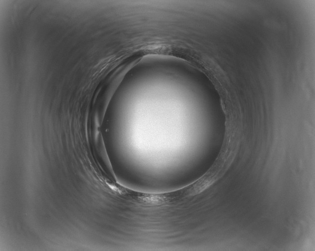 X0000080790432200612151459