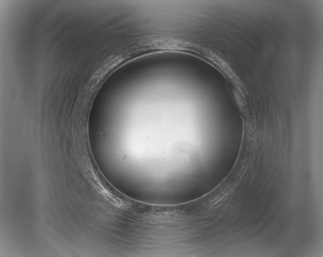 X0000080790433200612151459
