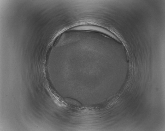 X0000080790434200612151459