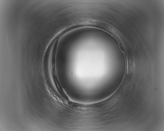 X0000080790435200612151459