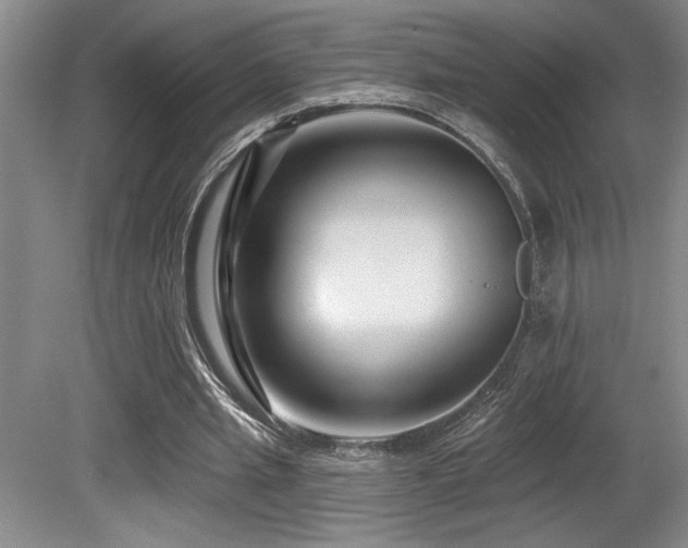 X0000080790437200612151459