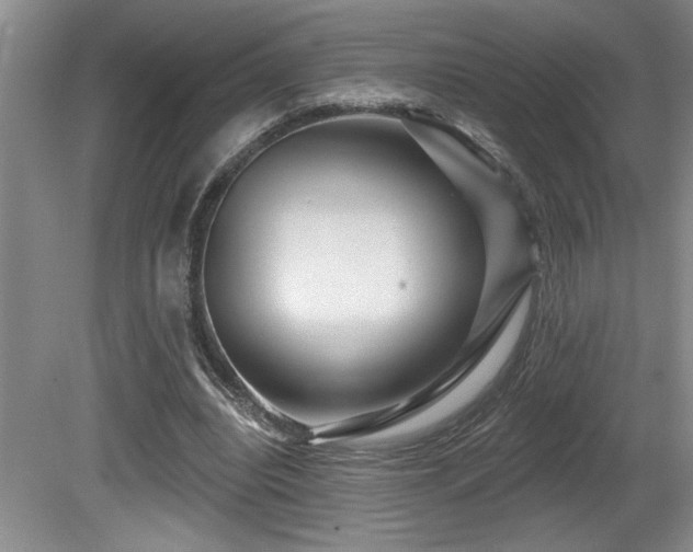 X0000080790440200612151459