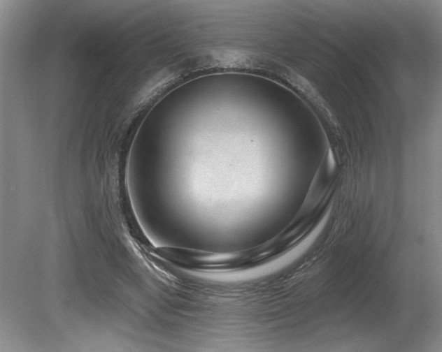 X0000080790442200612151459