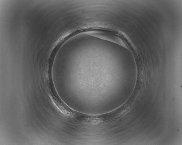 X0000080790443200612151459