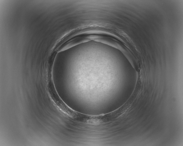 X0000080790444200612151459