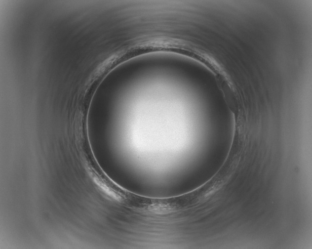 X0000080790445200612151459