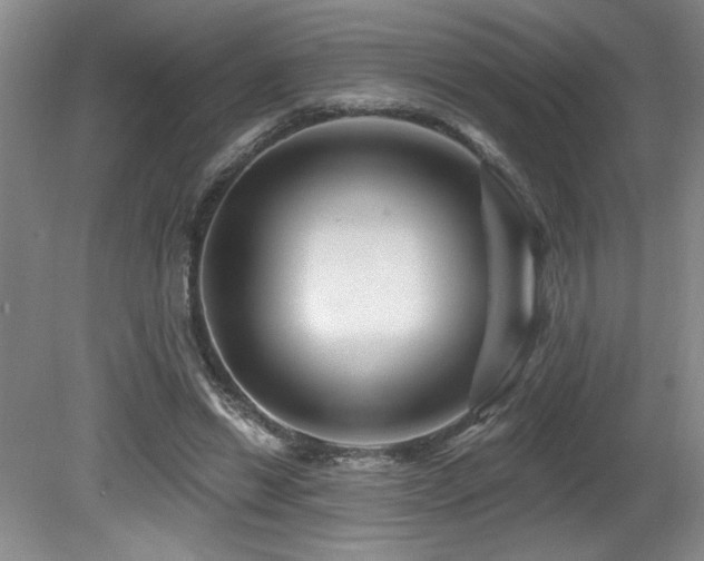X0000080790446200612151459