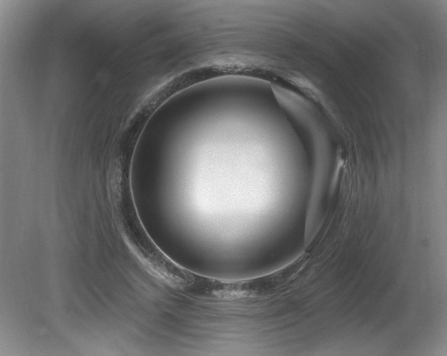 X0000080790448200612151459