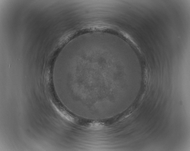 X0000080790451200612151459