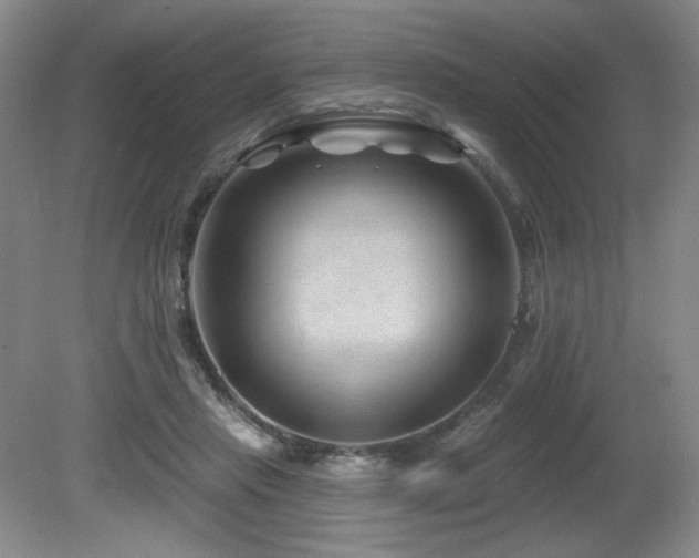 X0000080790453200612151459