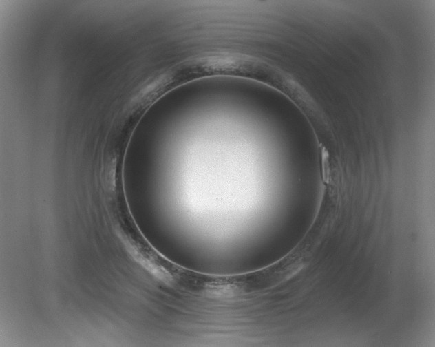 X0000080790454200612151459