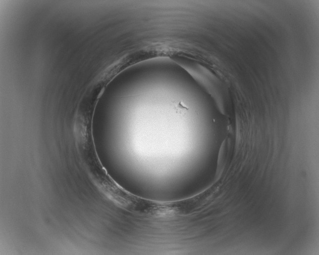 X0000080790456200612151459