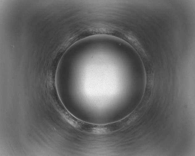 X0000080790457200612151459