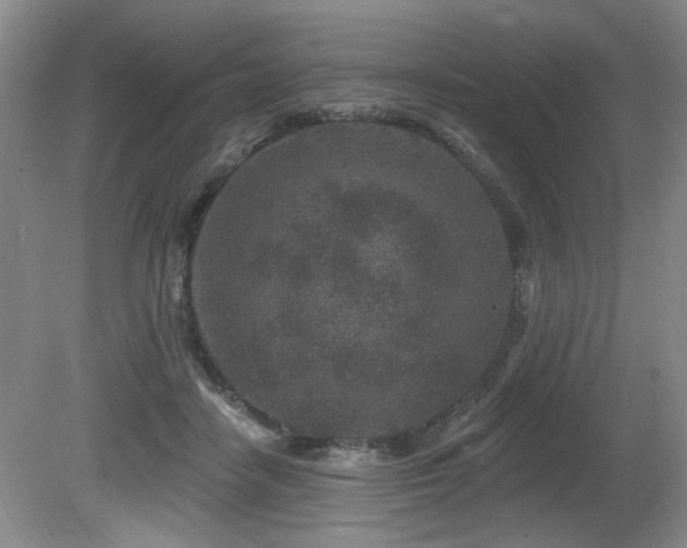 X0000080790458200612151459