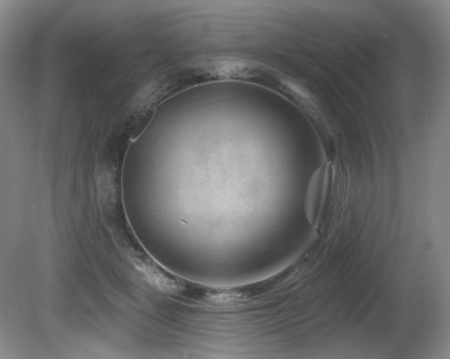 X0000080790461200612151459