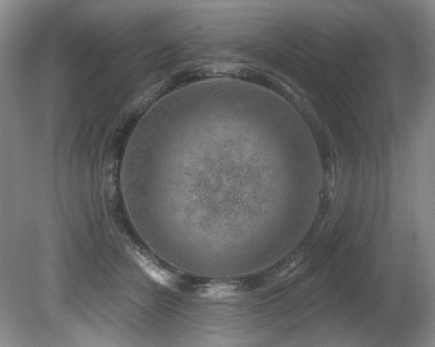 X0000080790462200612151459