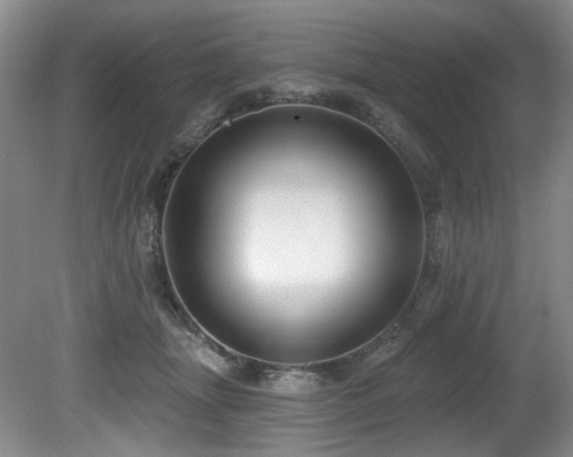 X0000080790463200612151459