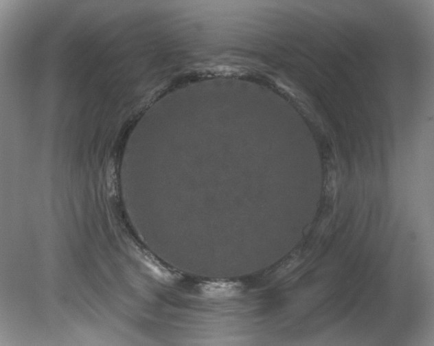 X0000080790465200612151459