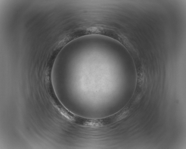 X0000080790466200612151459