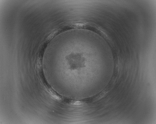 X0000080790467200612151459