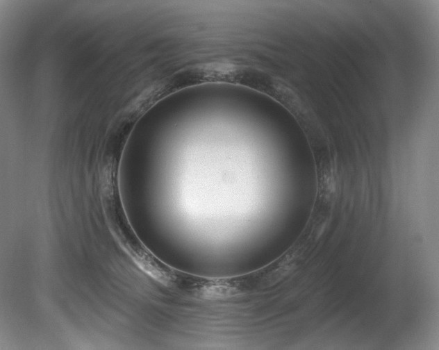 X0000080790468200612151459