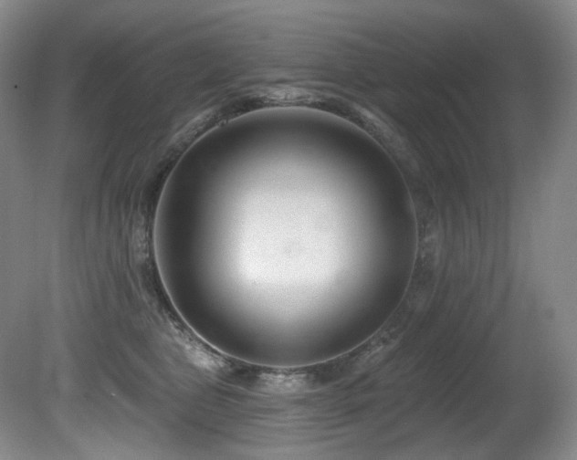 X0000080790469200612151459