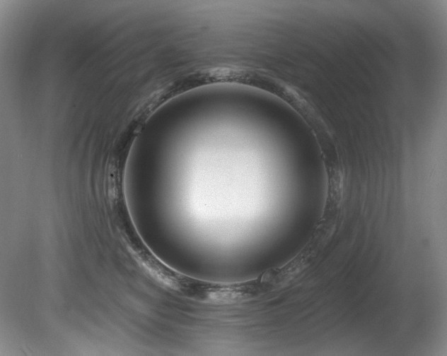 X0000080790470200612151459