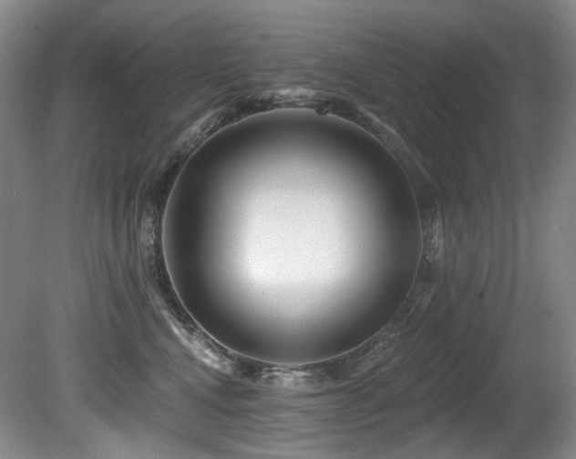 X0000080790472200612151459