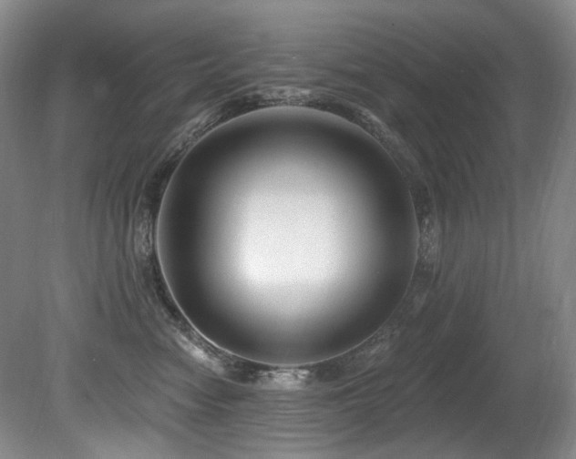 X0000080790474200612151459