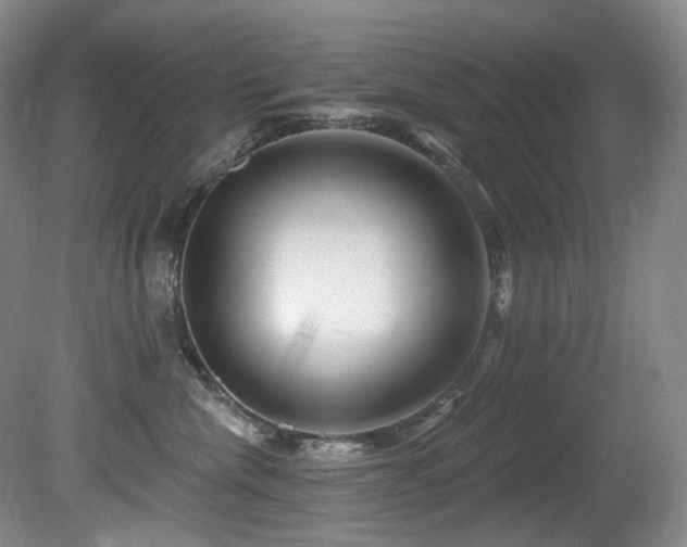 X0000080790476200612151459