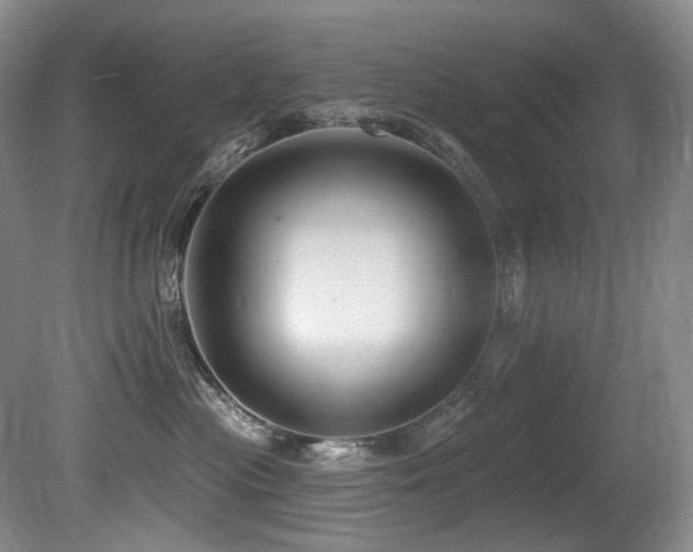 X0000080790477200612151459