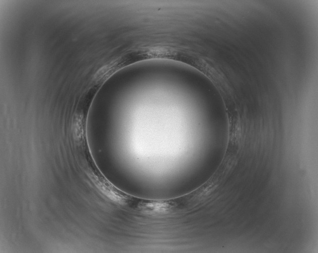 X0000080790478200612151459