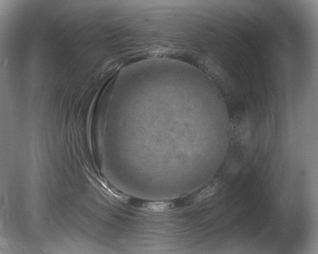 X0000080790479200612151459