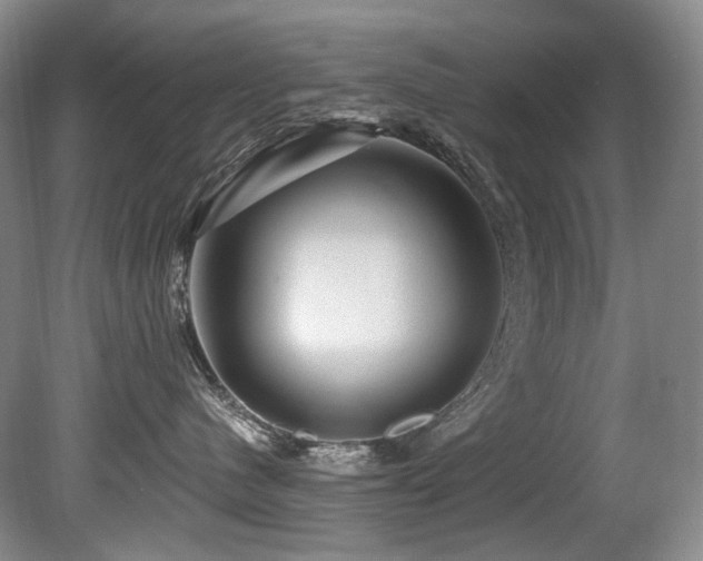 X0000080790480200612151459