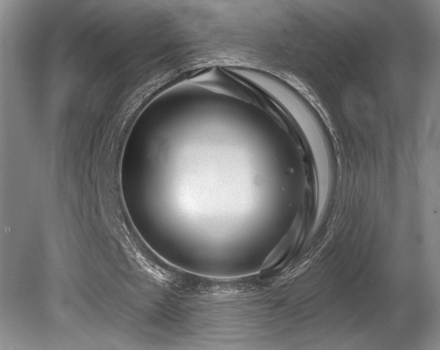 X0000080790481200612151459