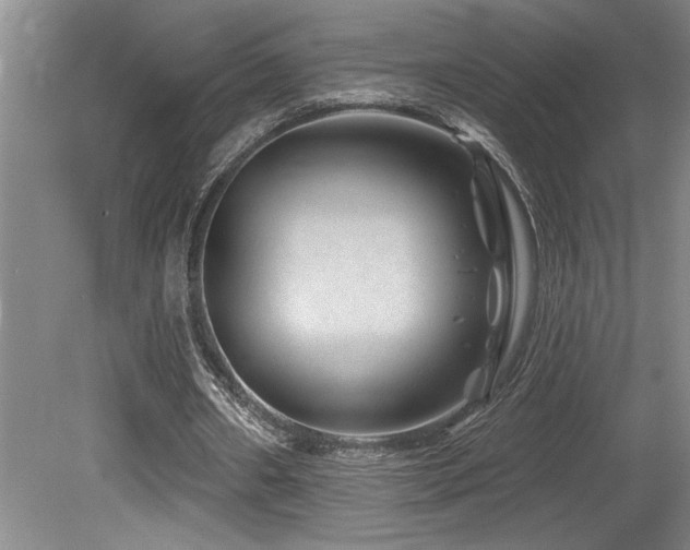 X0000080790482200612151459