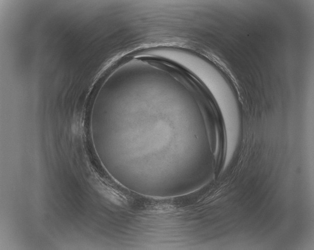 X0000080790483200612151459