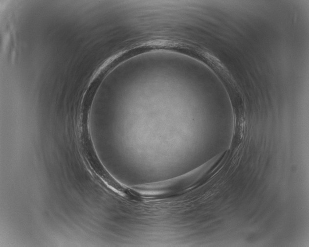 X0000080790484200612151459