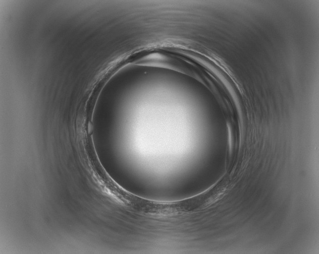 X0000080790485200612151459